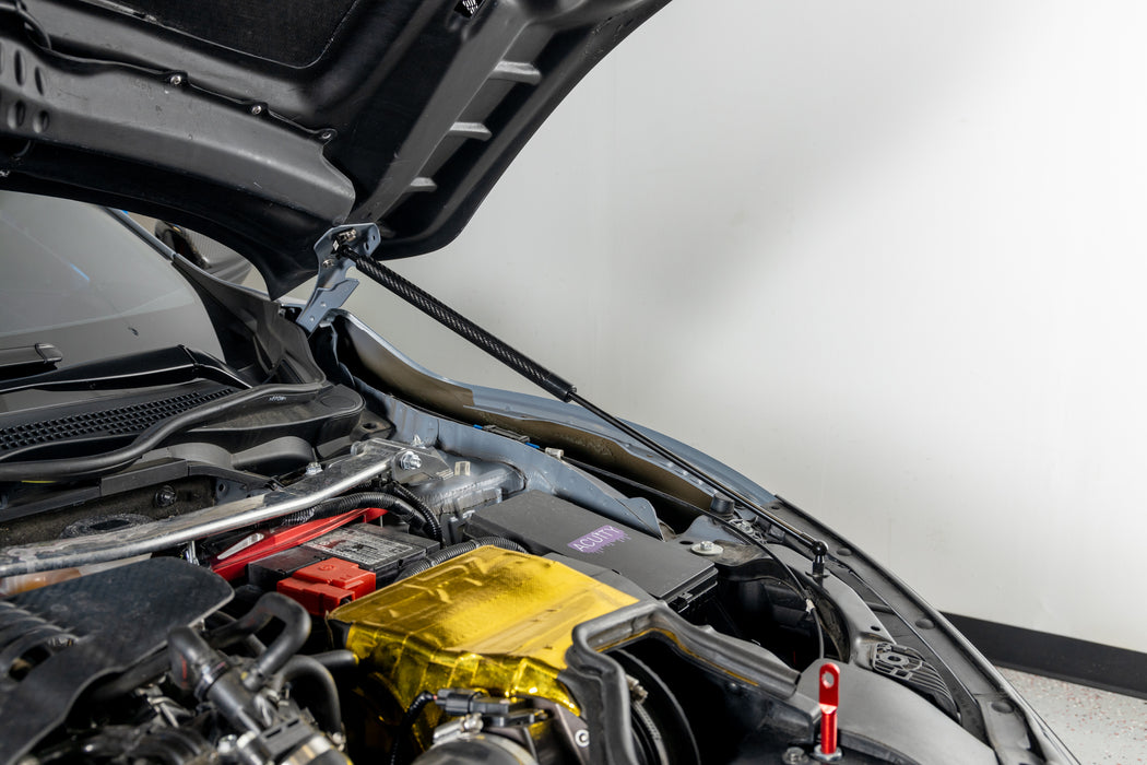 OLM Carbon Fiber Wrapped Hood Struts - 2017-2021 Honda Civic Type R